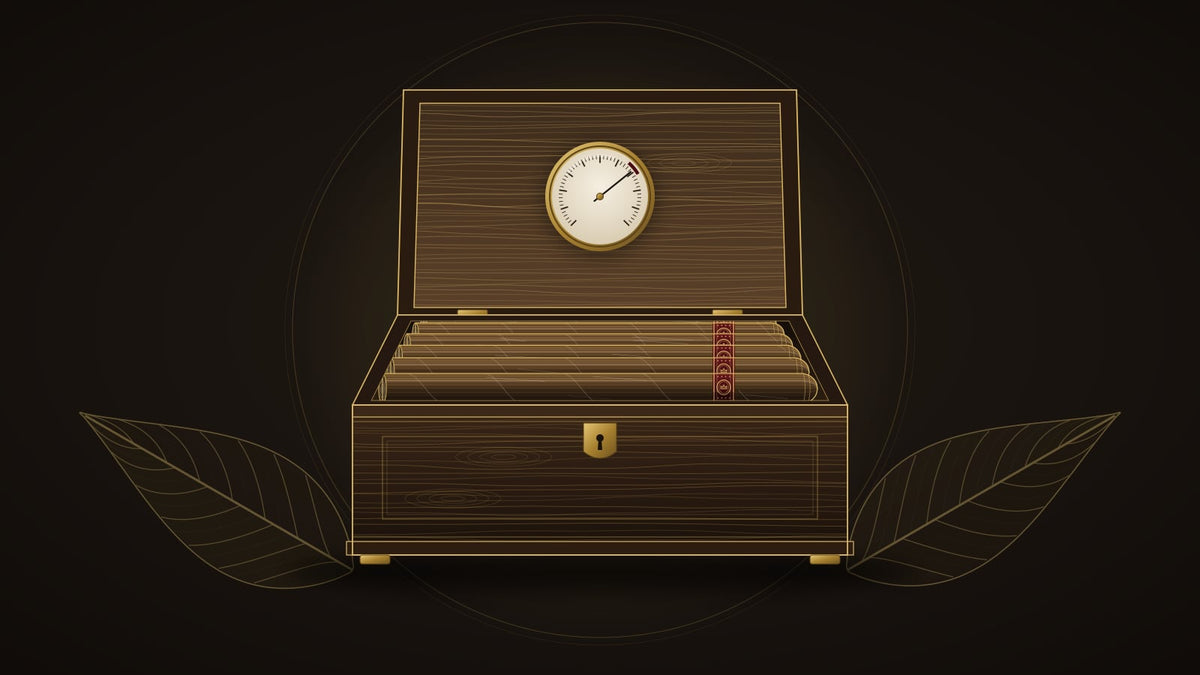Illustration of an open wooden humidor filled with banded cigars, with a brass-rimmed hygrometer set into the cedar-lined lid.