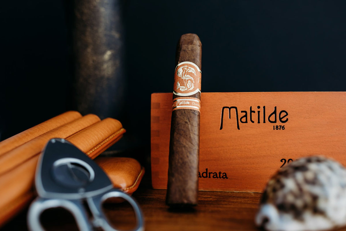 Matilde - Quadrata Robusto - Box of 20