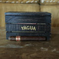 Yagua - Box of 20