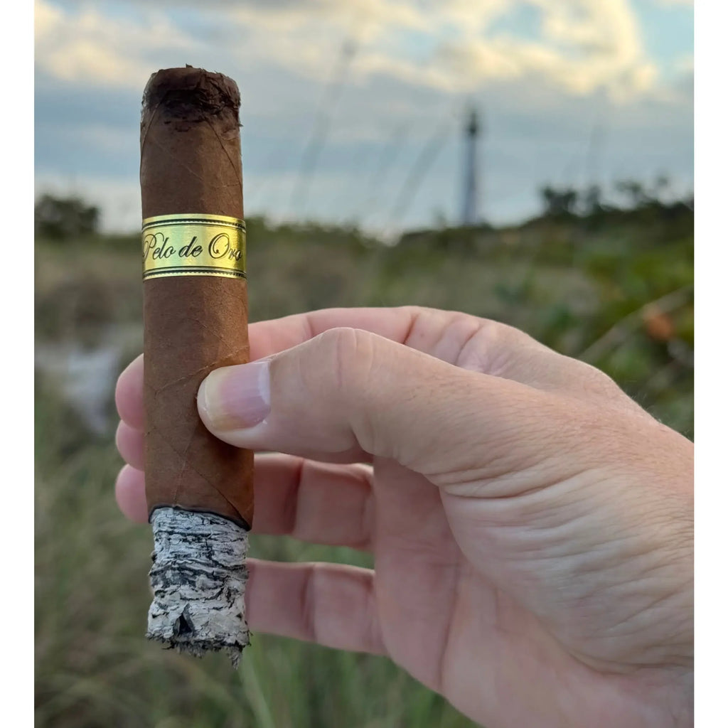 Felipe Gregorio - Pelo de Oro Robusto - Box of 24