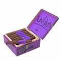 Blackbird - Unkind Corona - Box of 28