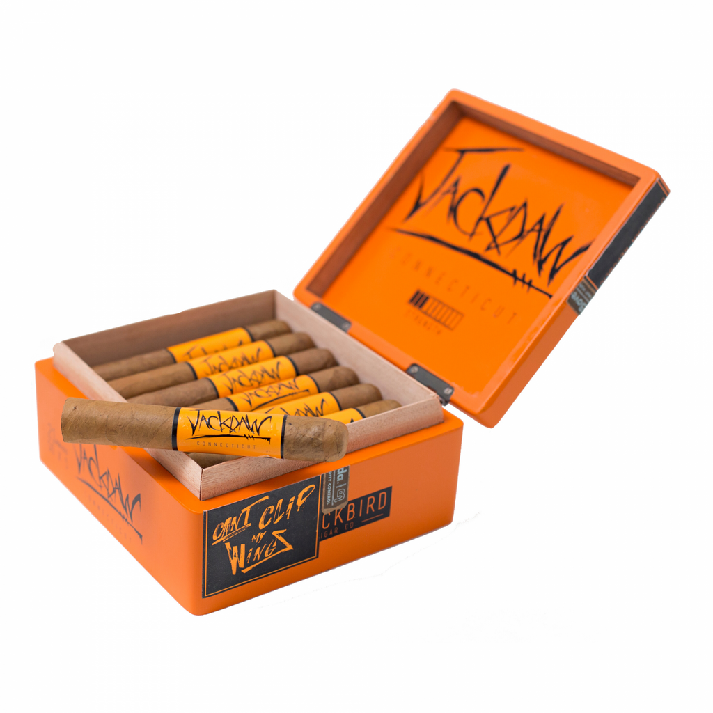 Blackbird - Jackdaw Corona - Box of 28