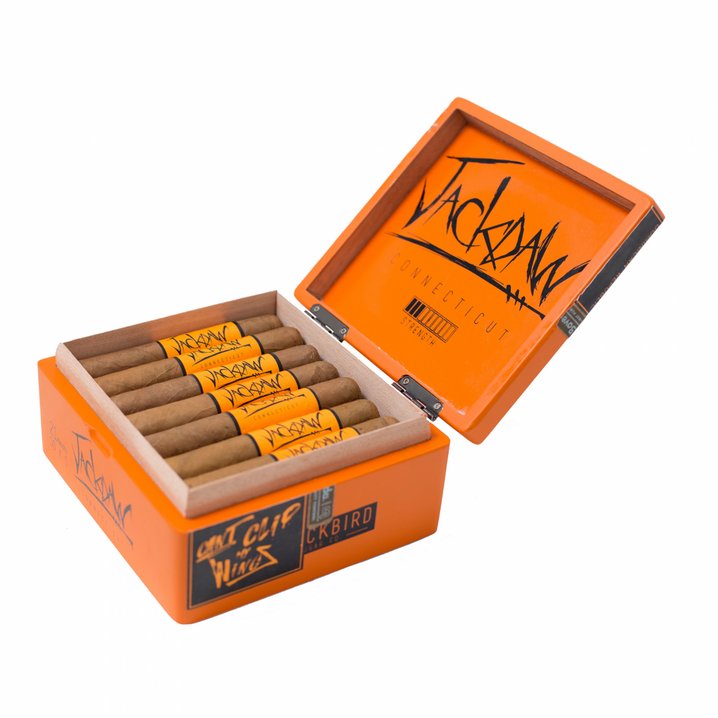 Blackbird - Jackdaw Robusto - Box of 21