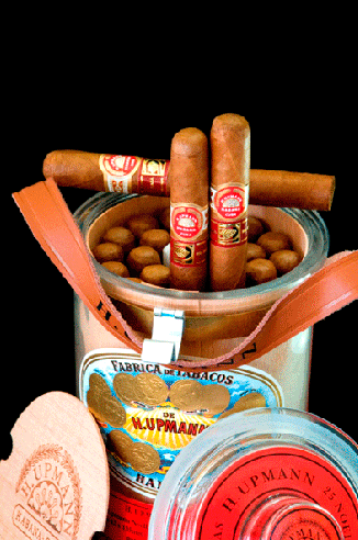 H. Upmann Noellas – La Casa del Habano exclusive