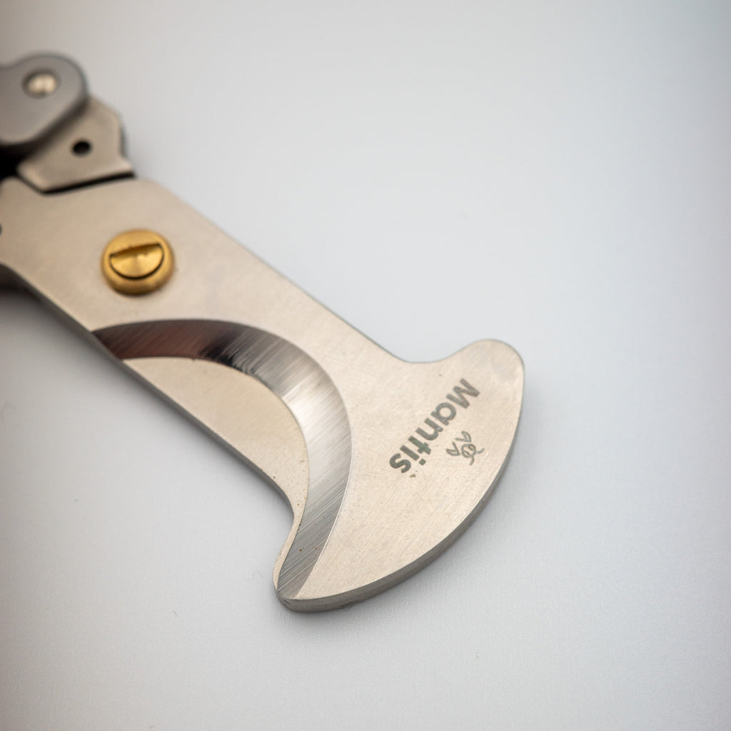 Mantis Origami Folding Scissors