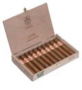 Punch - Short de Punch - Box of 10