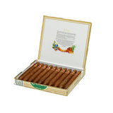 Cuaba - Salomones - Box of 10 - Tobacco UK - 1