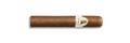 Robusto Statesman Cigar